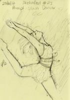Storm Dancer